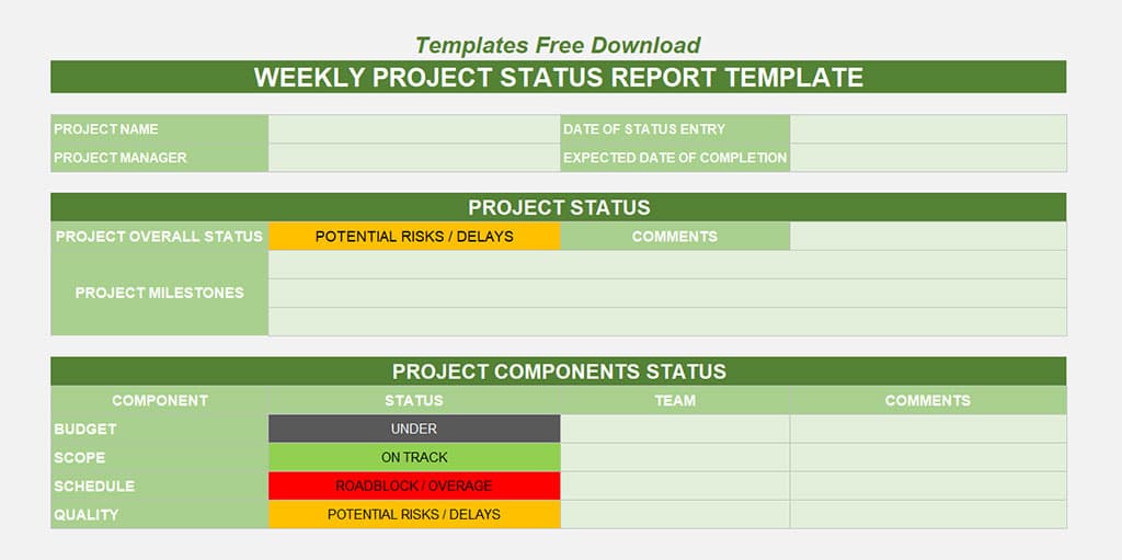 status report template excel